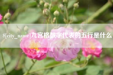 滨州九宫格数字代表的五行是什么