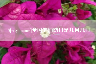 滨州全国的消防日是几月几日