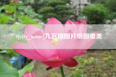 滨州九宫格图片组图唯美