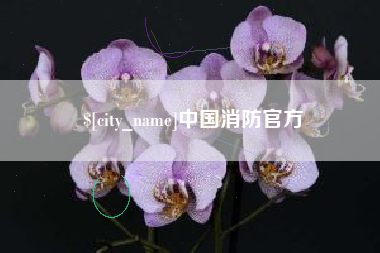 滨州中国消防官方