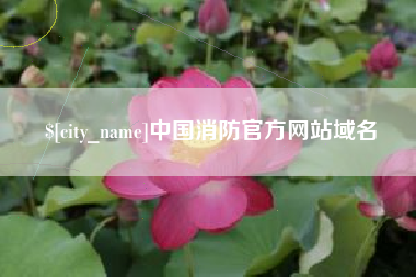 滨州中国消防官方网站域名