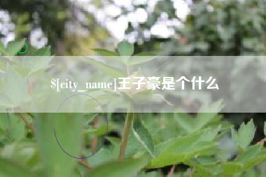 滨州王子豪是个什么