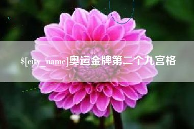 滨州奥运金牌第二个九宫格