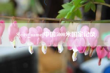 滨州中国5000米国家记录