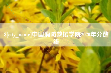 滨州中国消防救援学院2020年分数线