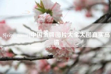 滨州中国金牌图片大全大图真实高清