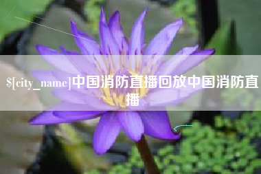 滨州中国消防直播回放中国消防直播