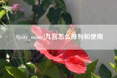 滨州九宫怎么排列和使用