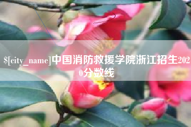 滨州中国消防救援学院浙江招生2020分数线