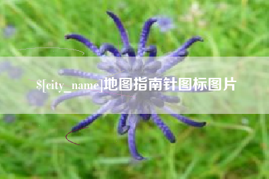滨州地图指南针图标图片