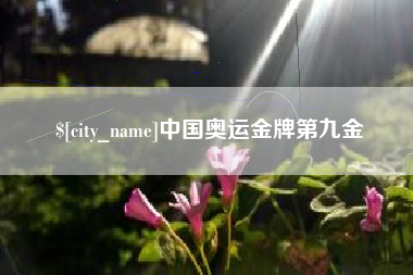 滨州中国奥运金牌第九金