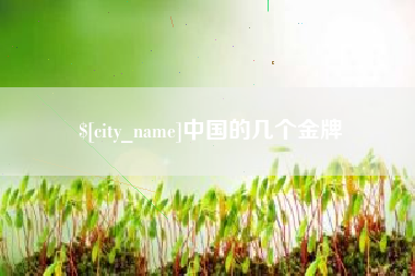 滨州中国的几个金牌