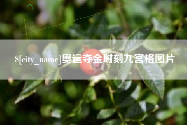 滨州奥运夺金时刻九宫格图片