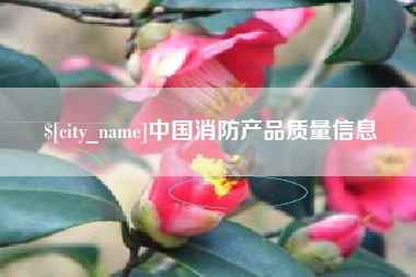 滨州中国消防产品质量信息
