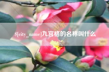 滨州九宫格的名称叫什么