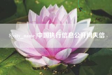 滨州中国执行信息公开网失信