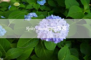 滨州2022九宫