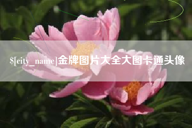 滨州金牌图片大全大图卡通头像