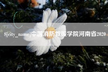 滨州中国消防救援学院河南省2020